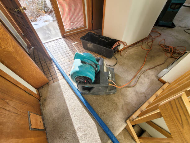 Best Water damage restoration near me  in Eutaw, AL